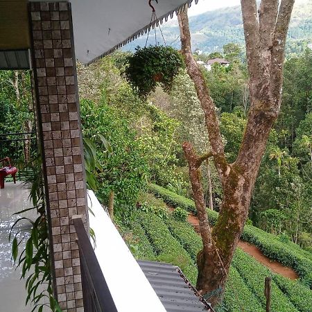 Green Tea View Munnar Exteriér fotografie