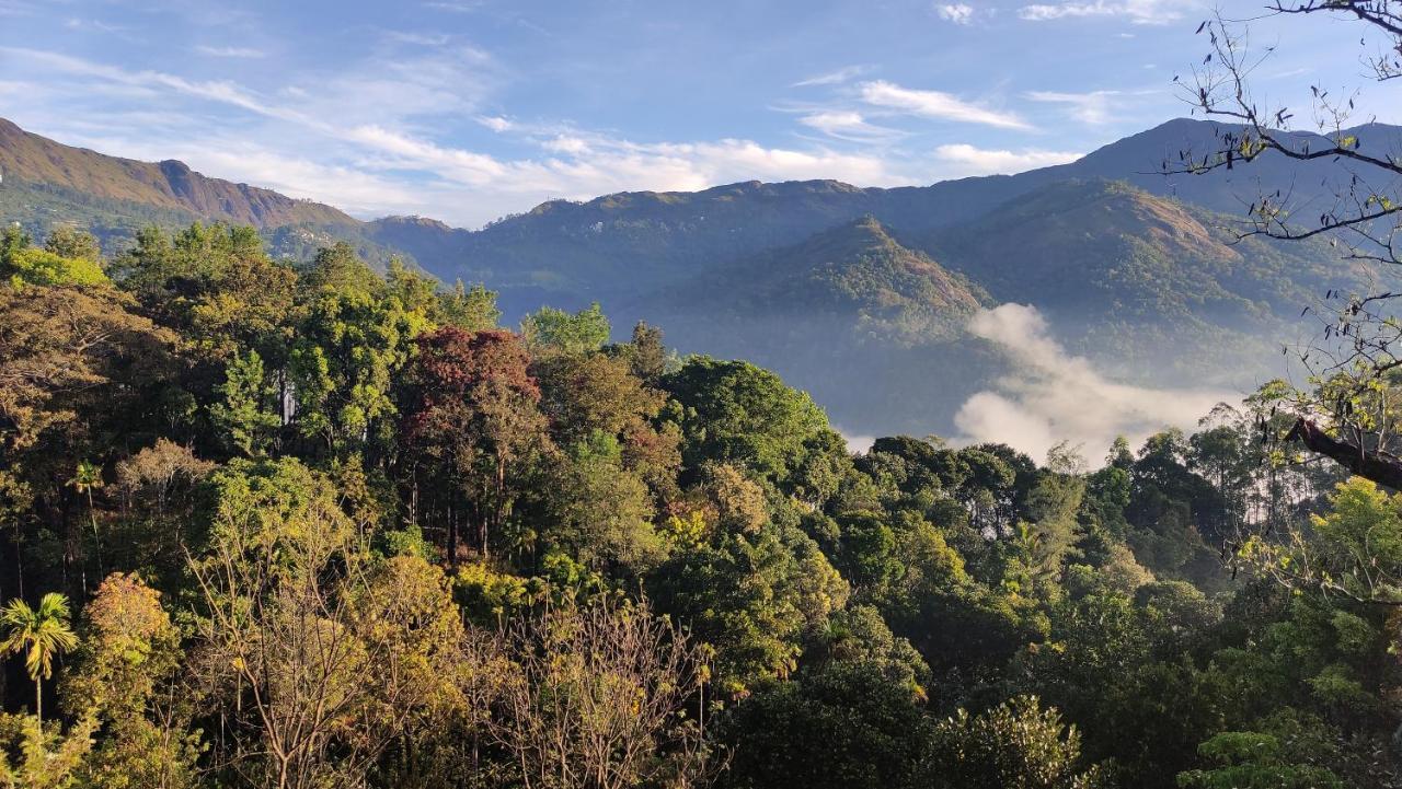 Green Tea View Munnar Exteriér fotografie